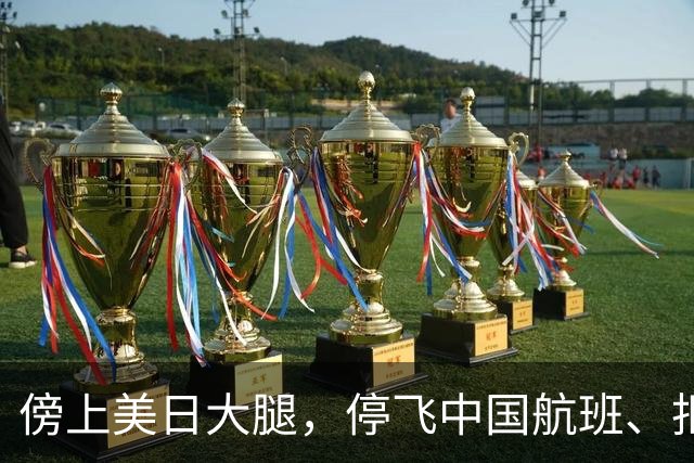 傍上美日大腿，停飞中国航班、拒绝中国游客的小国，如今怎样了？