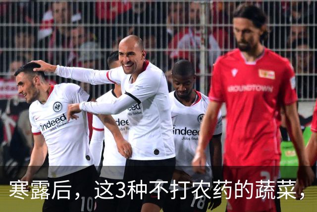 寒露后，这3种不打农药的蔬菜，再贵都要买，强身健体，增免疫