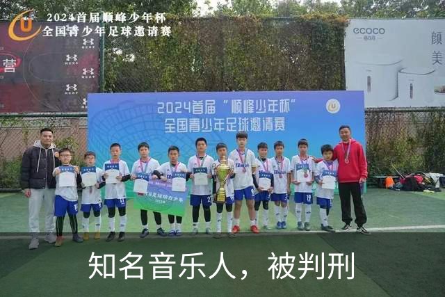 知名音乐人，被判刑